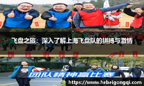 飞盘之旅：深入了解上海飞盘队的拼搏与激情